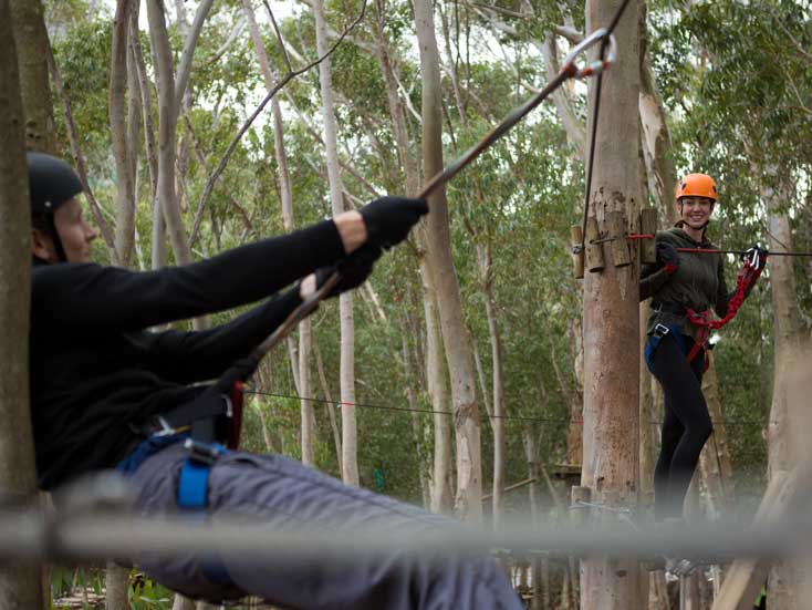 Rainforest Ziplining Rainforest Ziplining